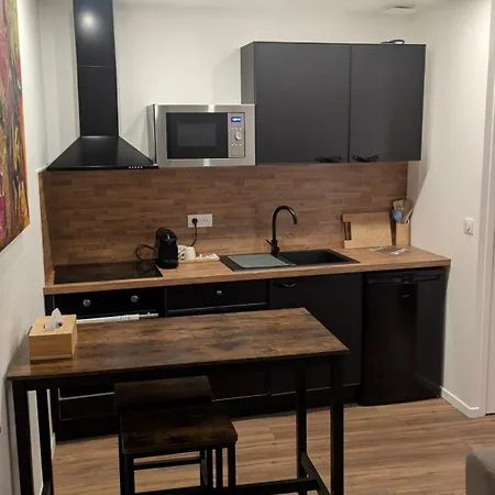 Cozy Centre Coupole Arènes *